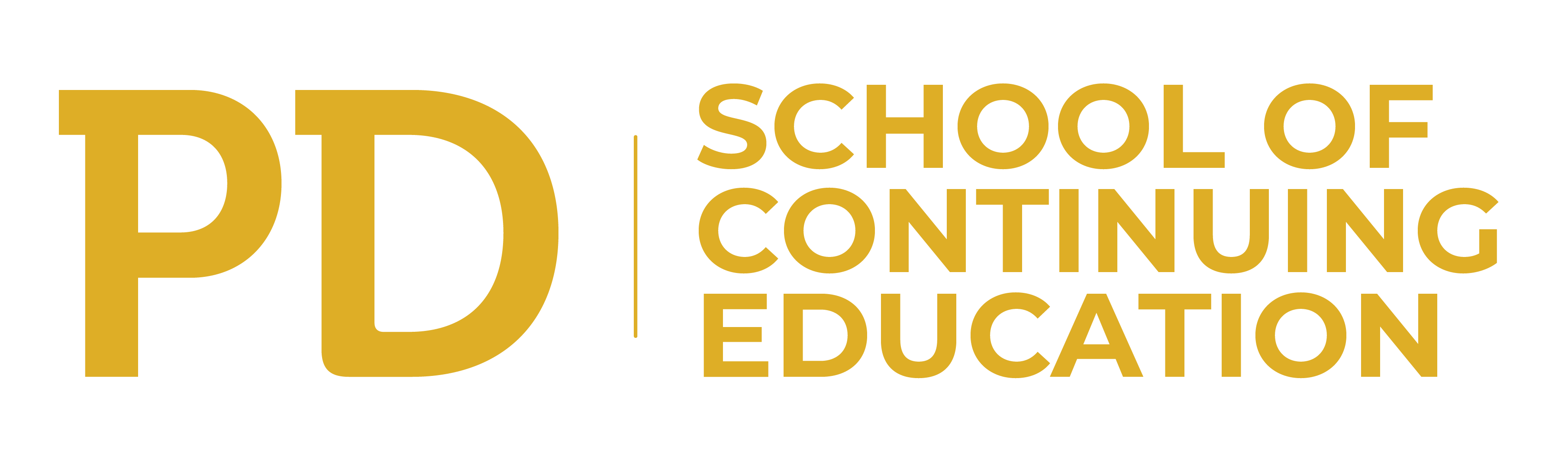 PDSCE-Logo-New-01-e1675281755118